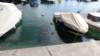 dsc00347_small.jpg