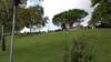 dsc00354_small.jpg