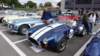dsc00540_small.jpg