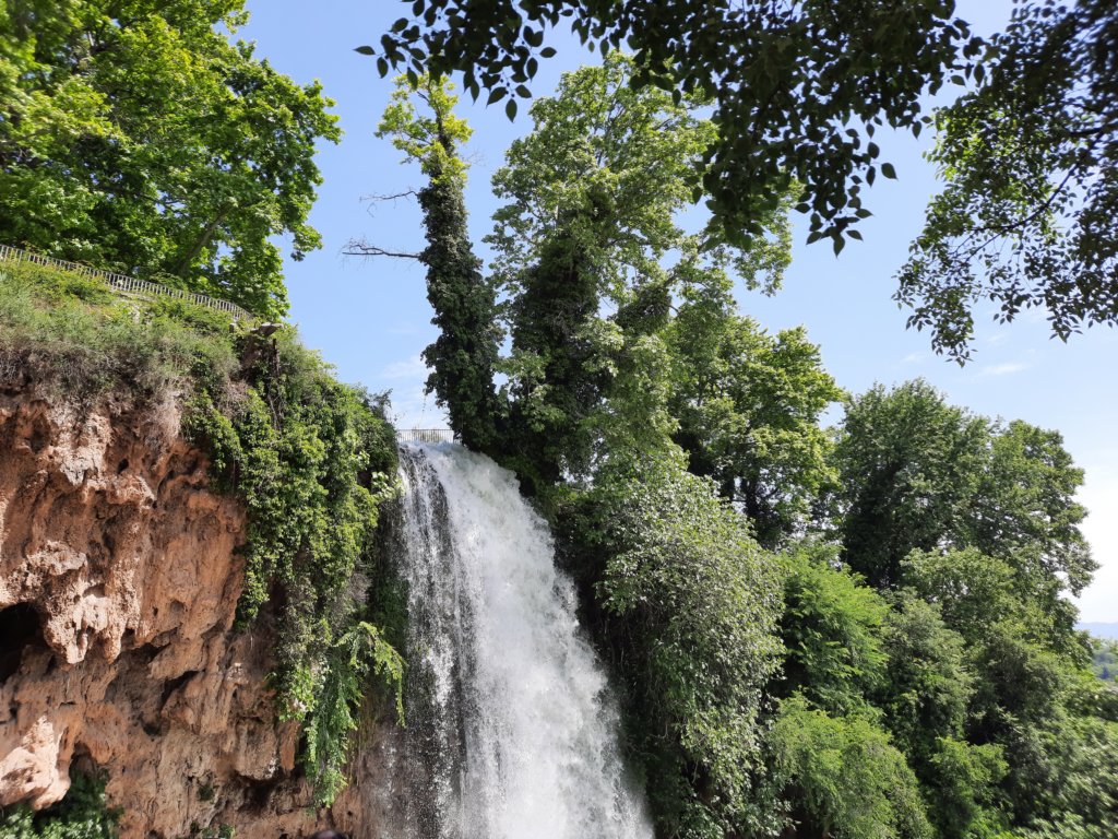 _114255.jpg