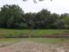 _160611_small.jpg