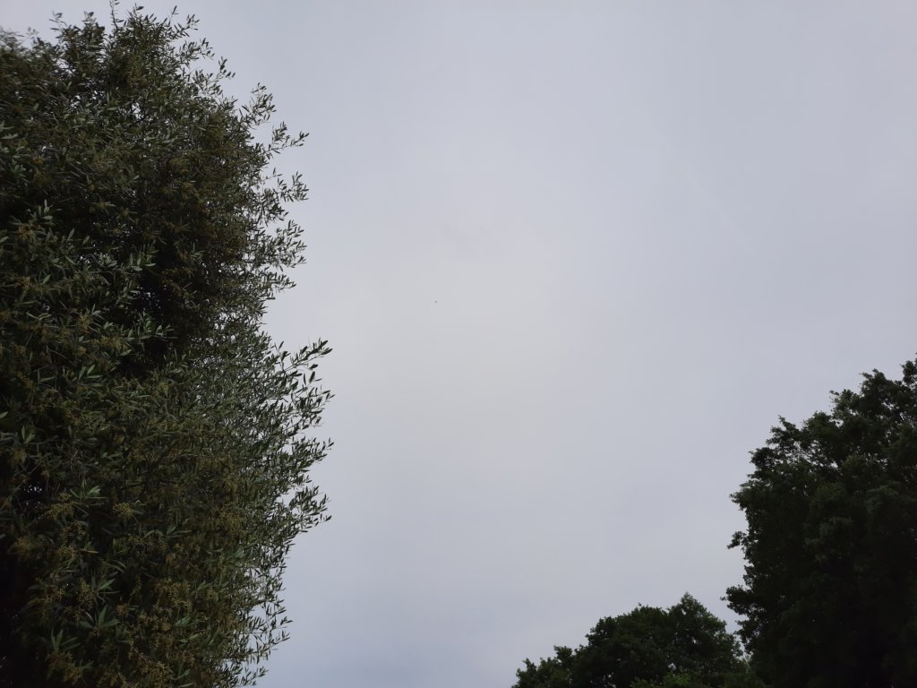 _160633.jpg