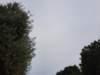 _160633_small.jpg