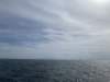 img_6351_small.jpg