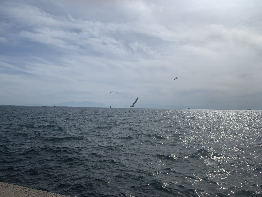 img_6367.jpg