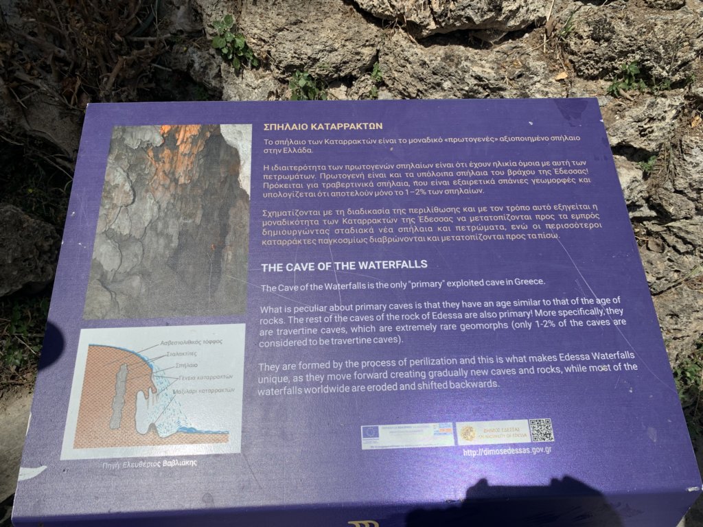 img_6440.jpg