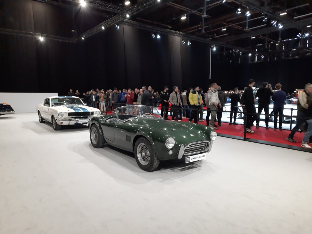 accobra19632.jpg