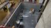 dsc00824_small.jpg