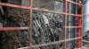 dsc00855_small.jpg