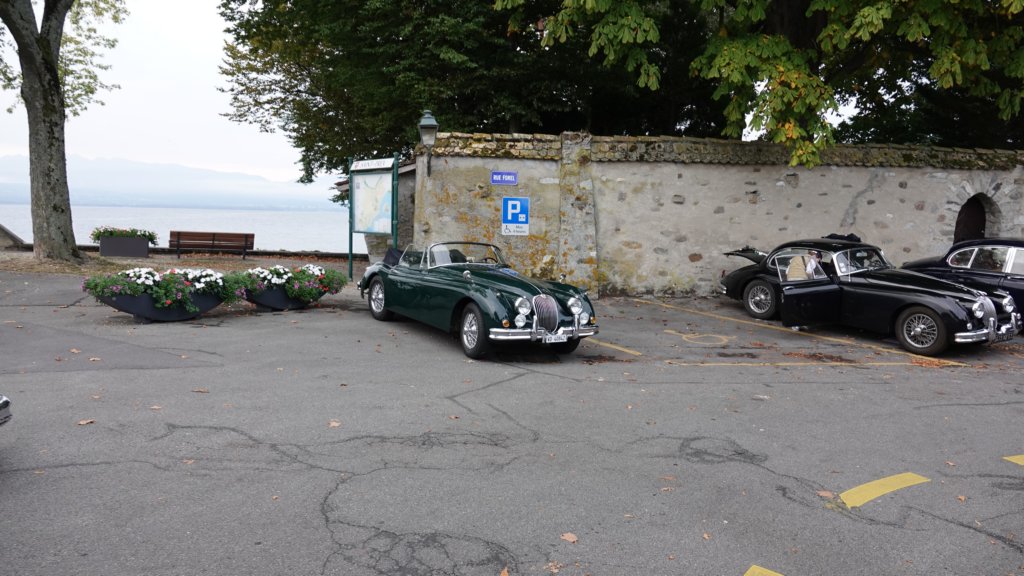 dsc04655.jpg