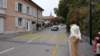 dsc05505_small.jpg