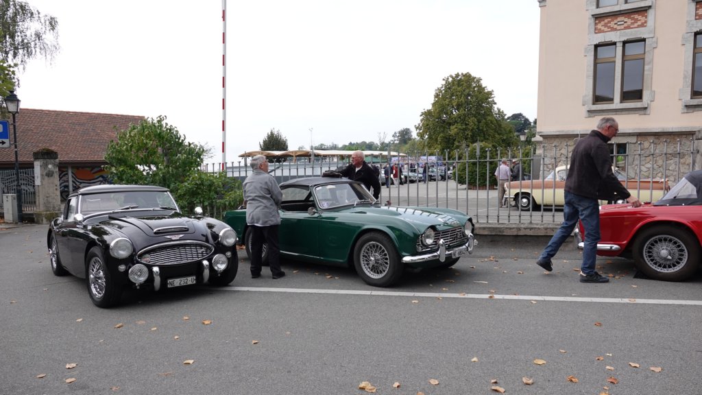 dsc05559.jpg