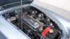 dsc05569_small.jpg