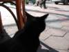 Photo Number 18