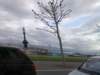 Photo Number 4