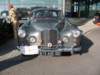 alvistd21813ahc692_small.jpg