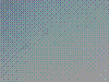 DSC00051.JPG
