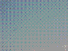 DSC00059.JPG