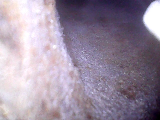 mar20168.jpg