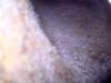 mar20169_small.jpg