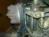 image0890_small.jpg