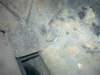 image0896_small.jpg
