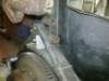 image0899_small.jpg
