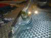 image1462_small.jpg