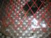 image1595_small.jpg