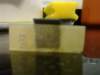 image1767_small.jpg