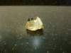 image1788_small.jpg