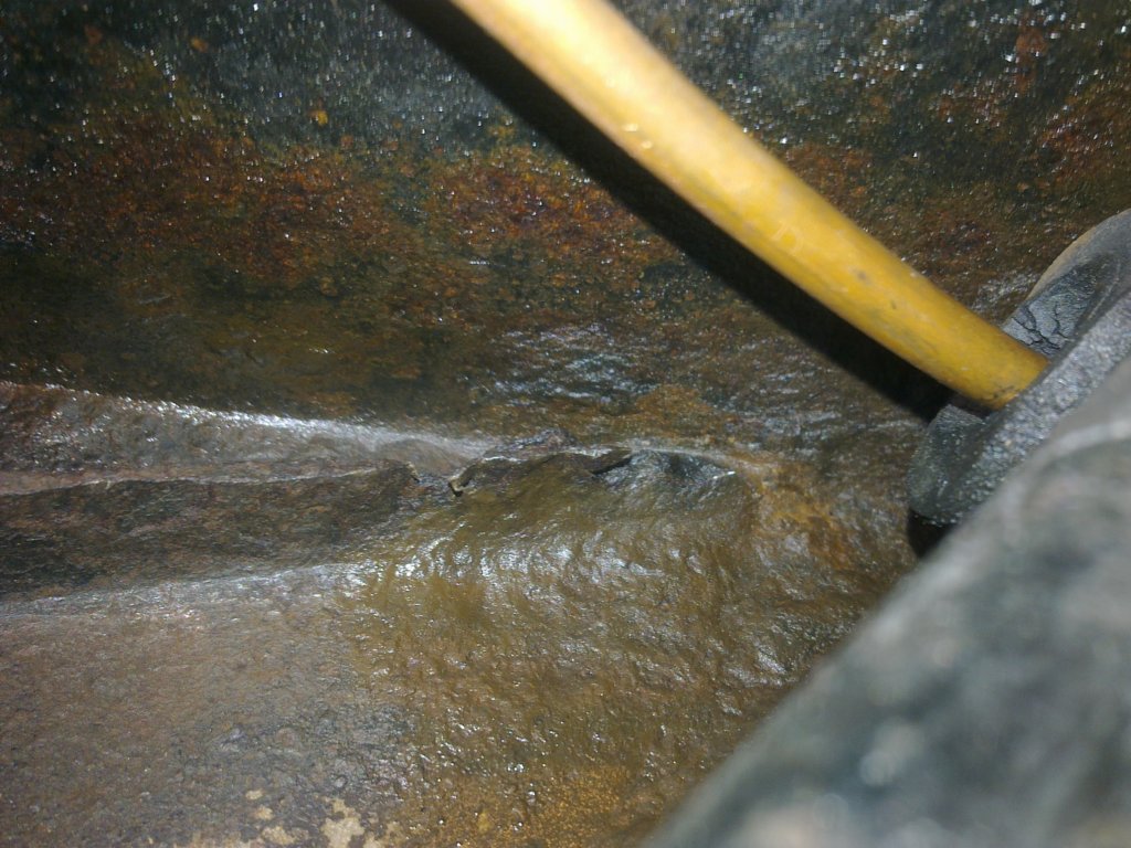 image2365.jpg