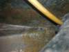 image2365_small.jpg