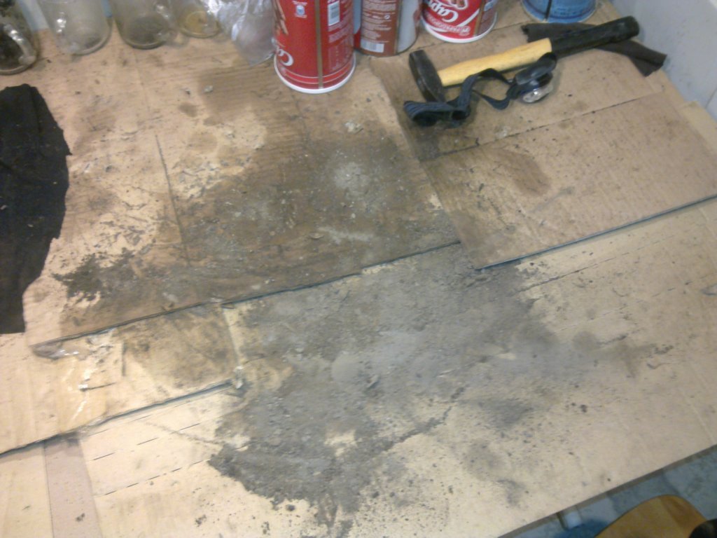 image2386.jpg
