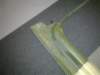 mar20215_small.jpg