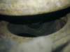 image3095_small.jpg