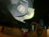 image3107_small.jpg