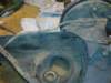 image3172_small.jpg