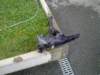 image3191_small.jpg