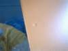 image3215_small.jpg
