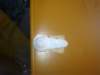 image3220_small.jpg