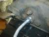 image3250_small.jpg