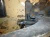 image3283_small.jpg