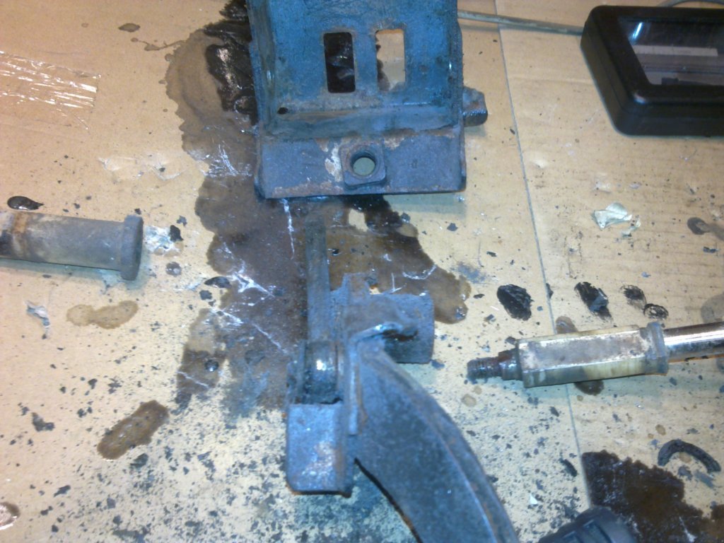 image3286.jpg
