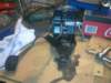 image3384_small.jpg