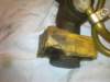 image3393_small.jpg