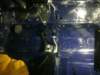 image3475_small.jpg