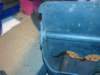 image3534_small.jpg