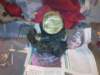 image3608_small.jpg