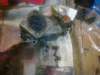 image3622_small.jpg